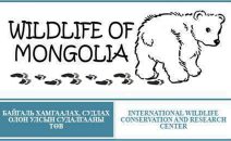 Wildlife of mongolia