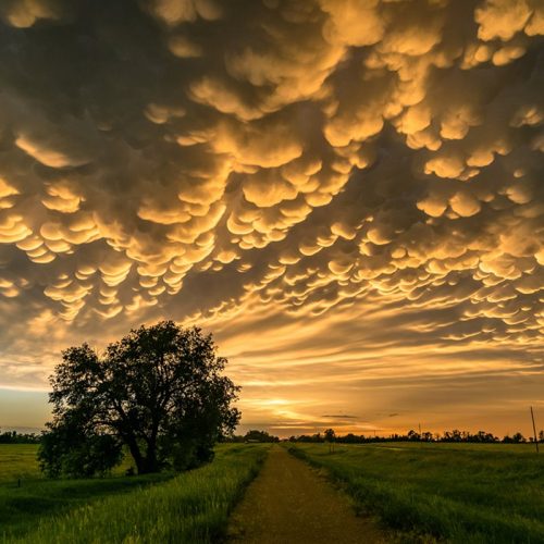 nubes-mammatus_f2491153_800x800